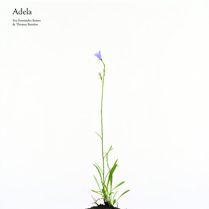 Adela